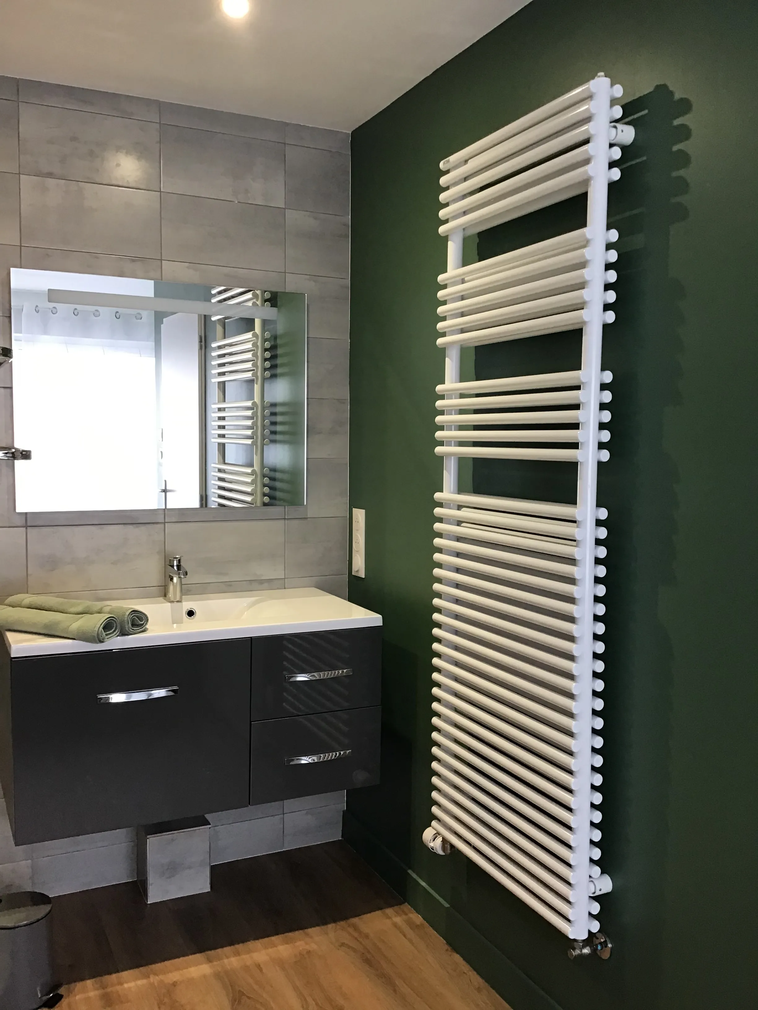 Salle d’eau de la chambre Vert jungle : meuble vasque et sèche-serviettes